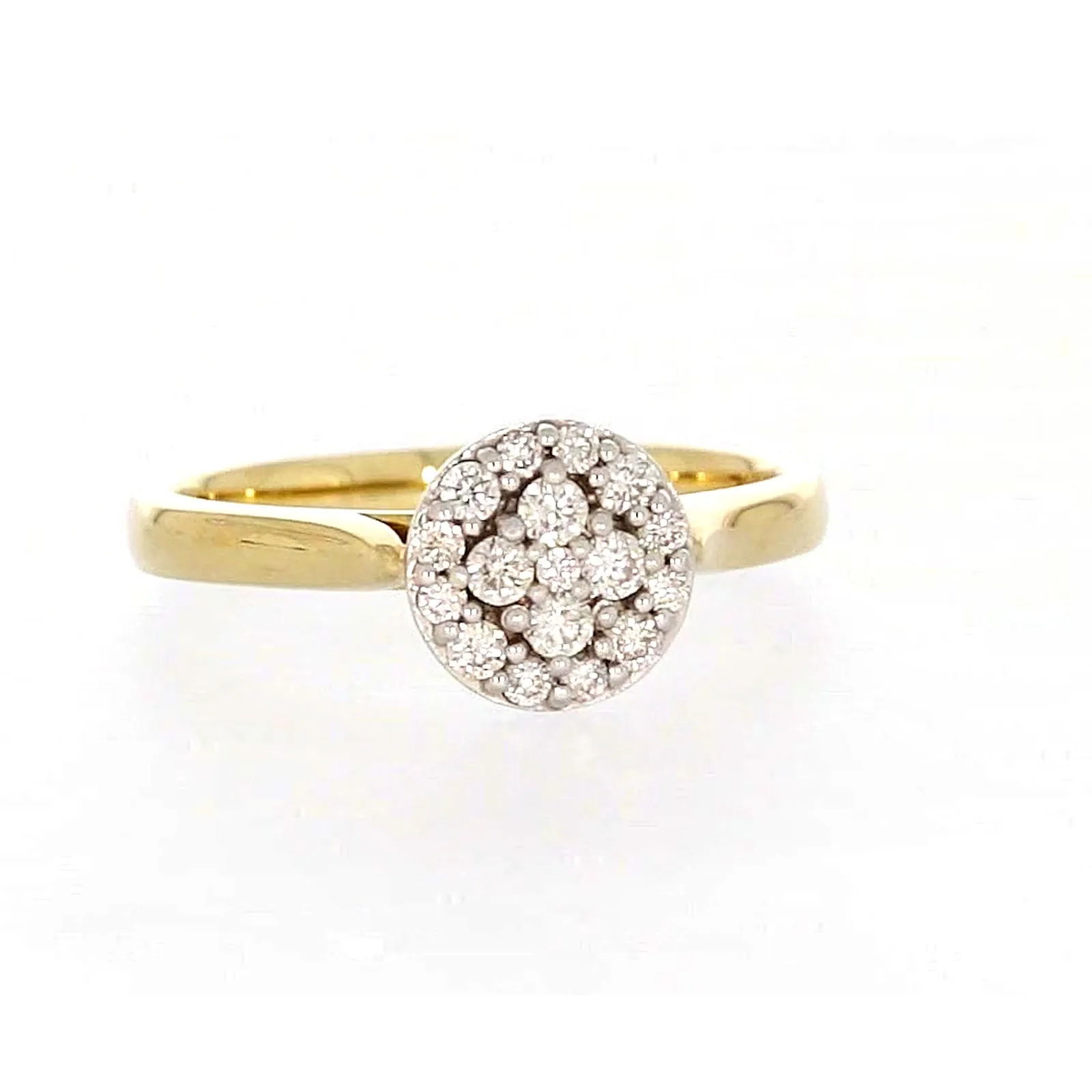 9ct Yellow Gold Round Brilliant Cut with 1/4 CARAT tw of Diamonds Ring