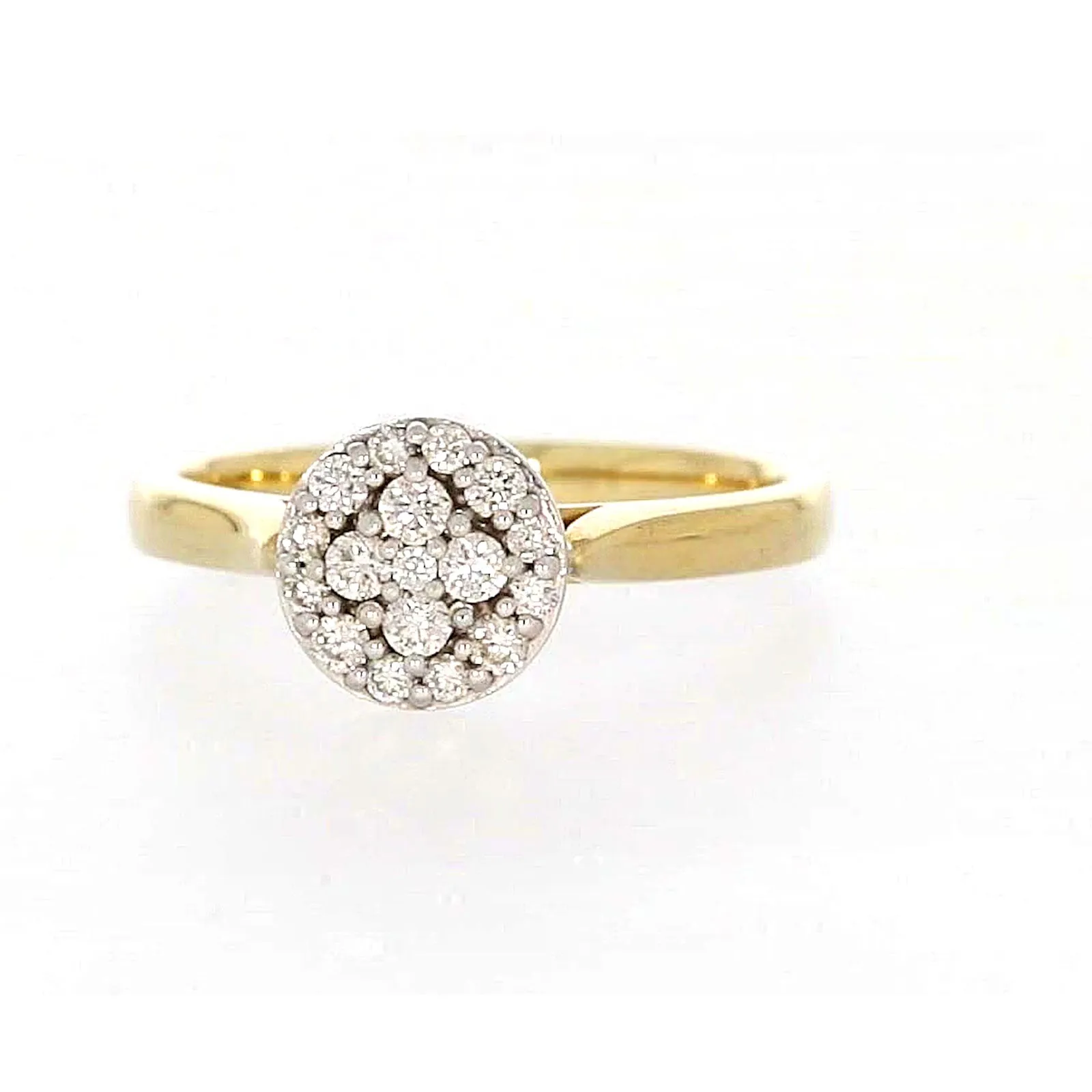 9ct Yellow Gold Round Brilliant Cut with 1/4 CARAT tw of Diamonds Ring