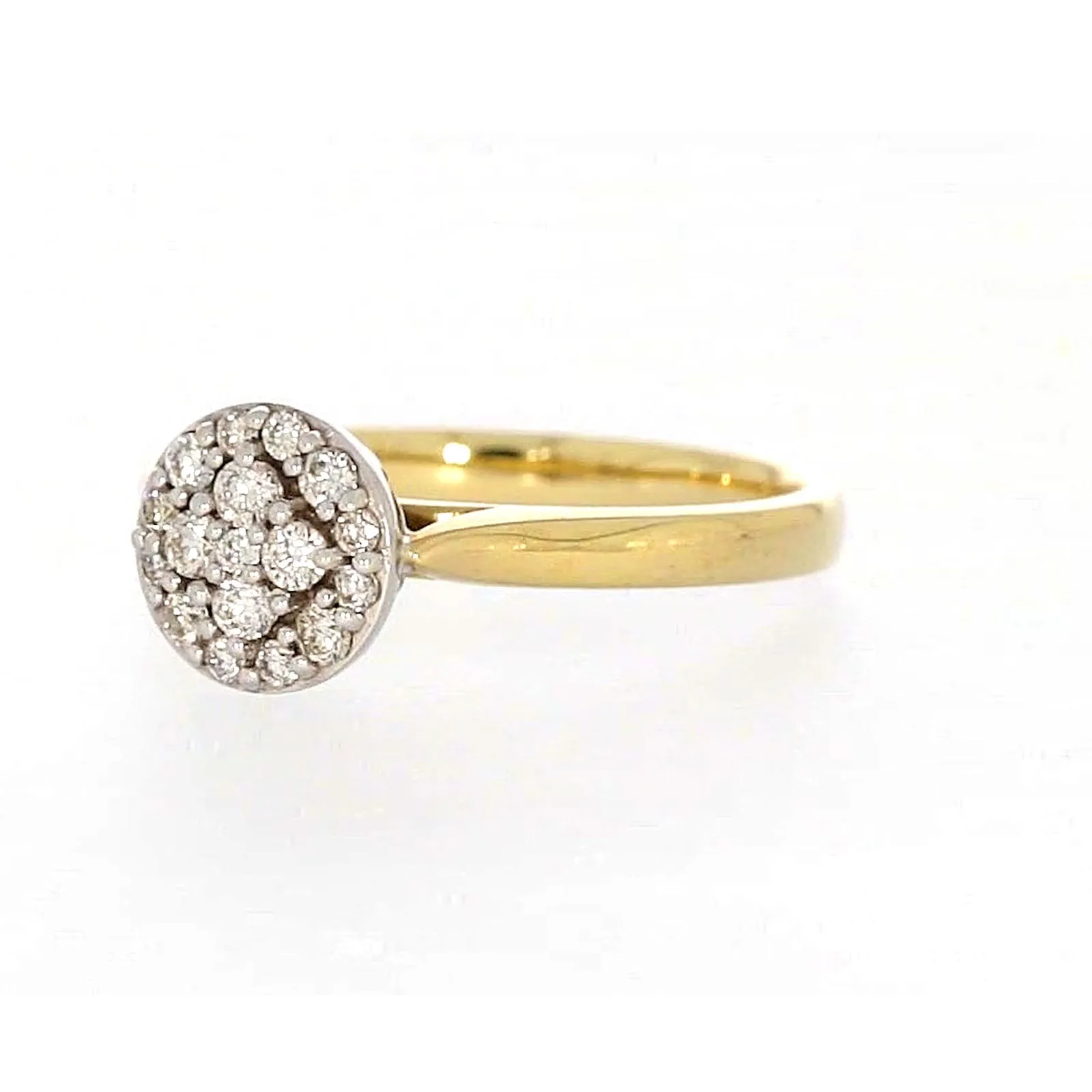 9ct Yellow Gold Round Brilliant Cut with 1/4 CARAT tw of Diamonds Ring