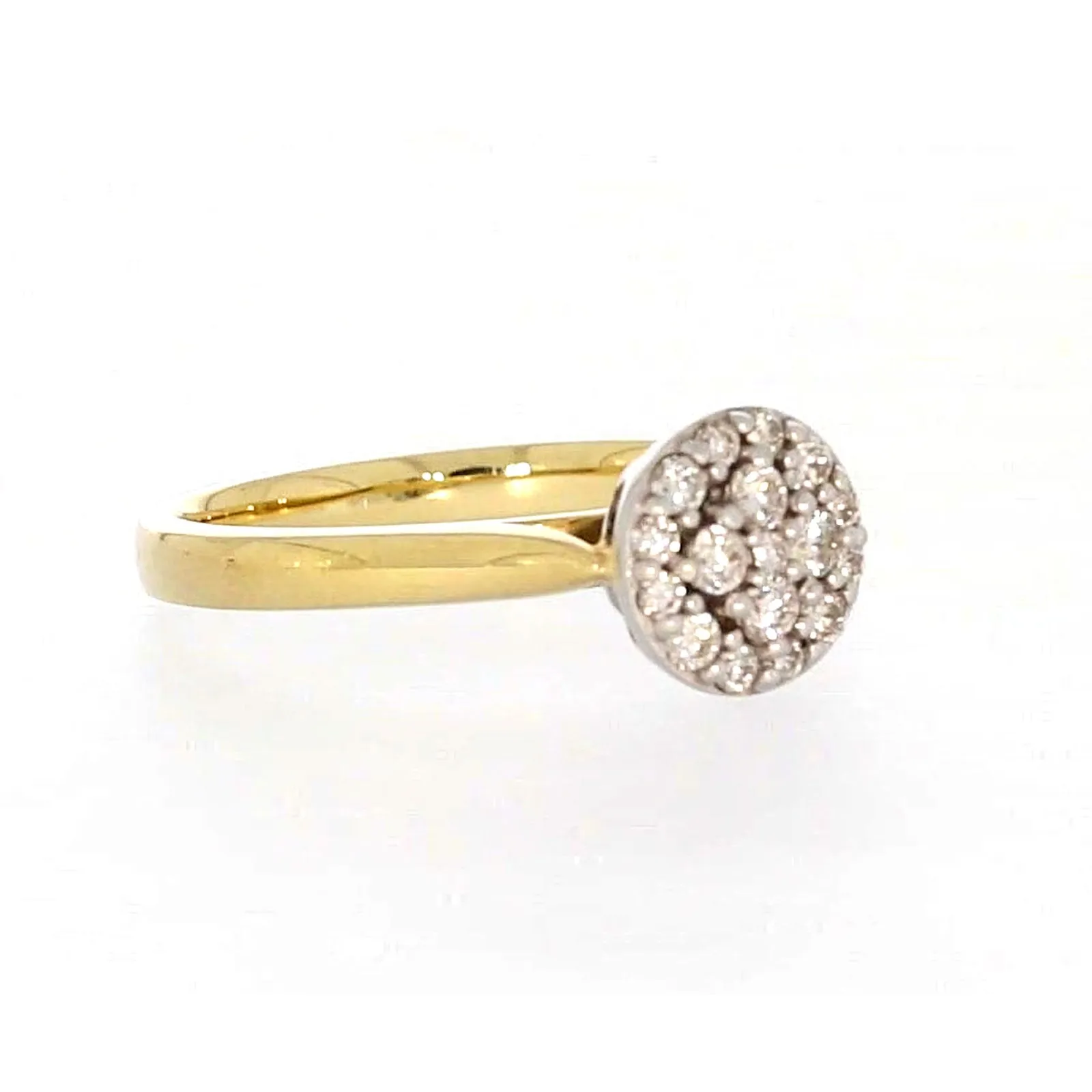 9ct Yellow Gold Round Brilliant Cut with 1/4 CARAT tw of Diamonds Ring