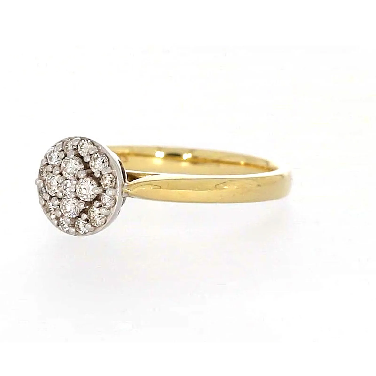 9ct Yellow Gold Round Brilliant Cut with 1/4 CARAT tw of Diamonds Ring