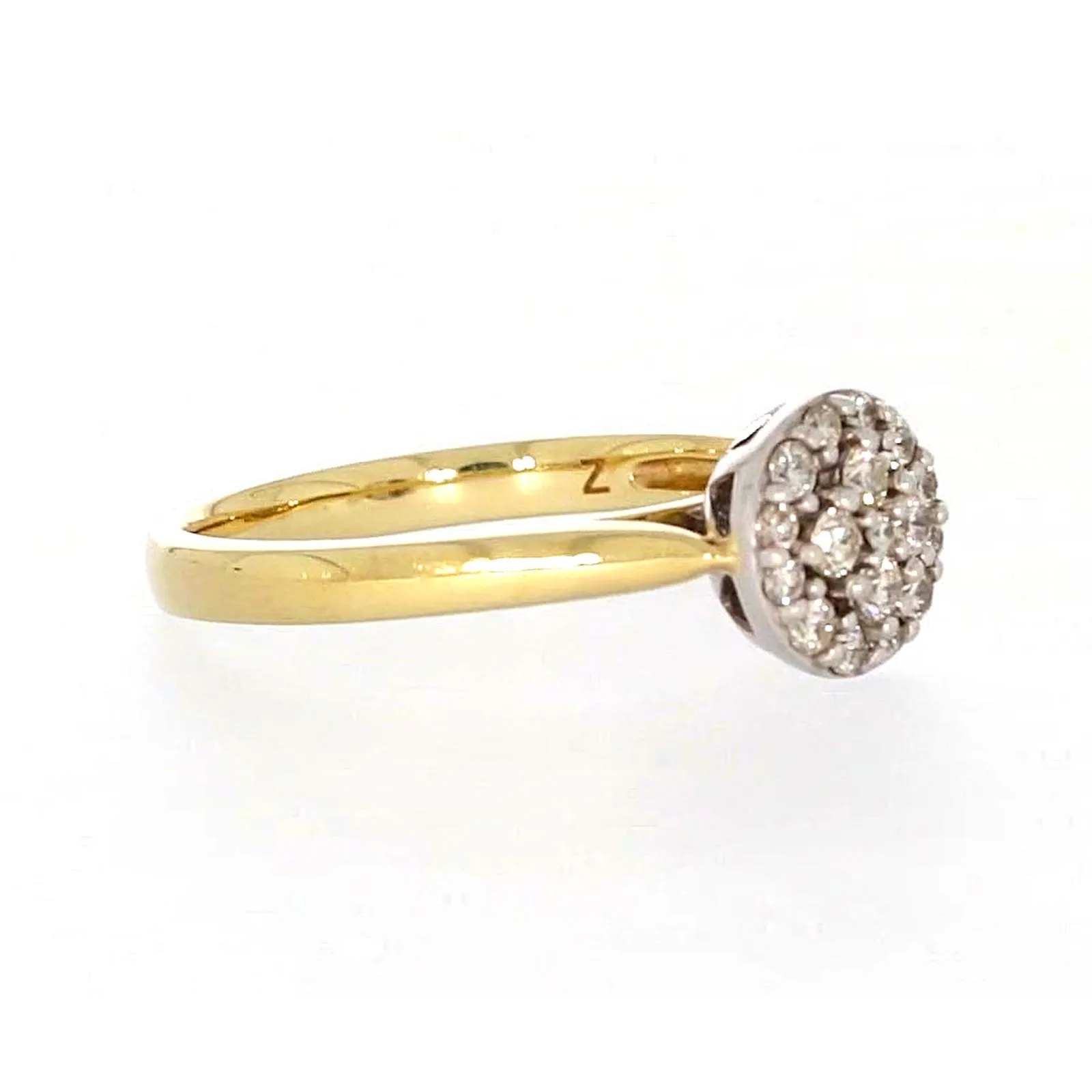 9ct Yellow Gold Round Brilliant Cut with 1/4 CARAT tw of Diamonds Ring