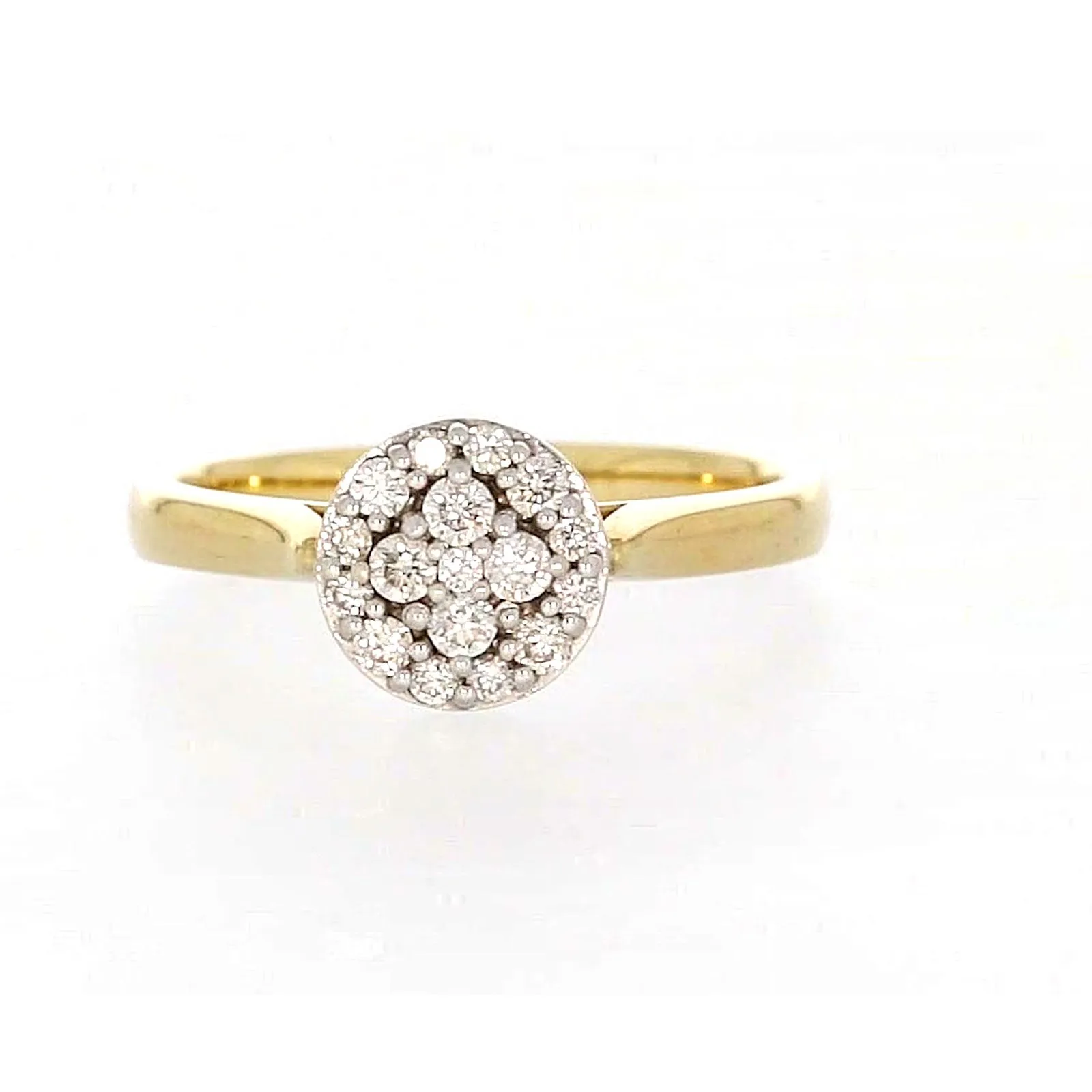 9ct Yellow Gold Round Brilliant Cut with 1/4 CARAT tw of Diamonds Ring