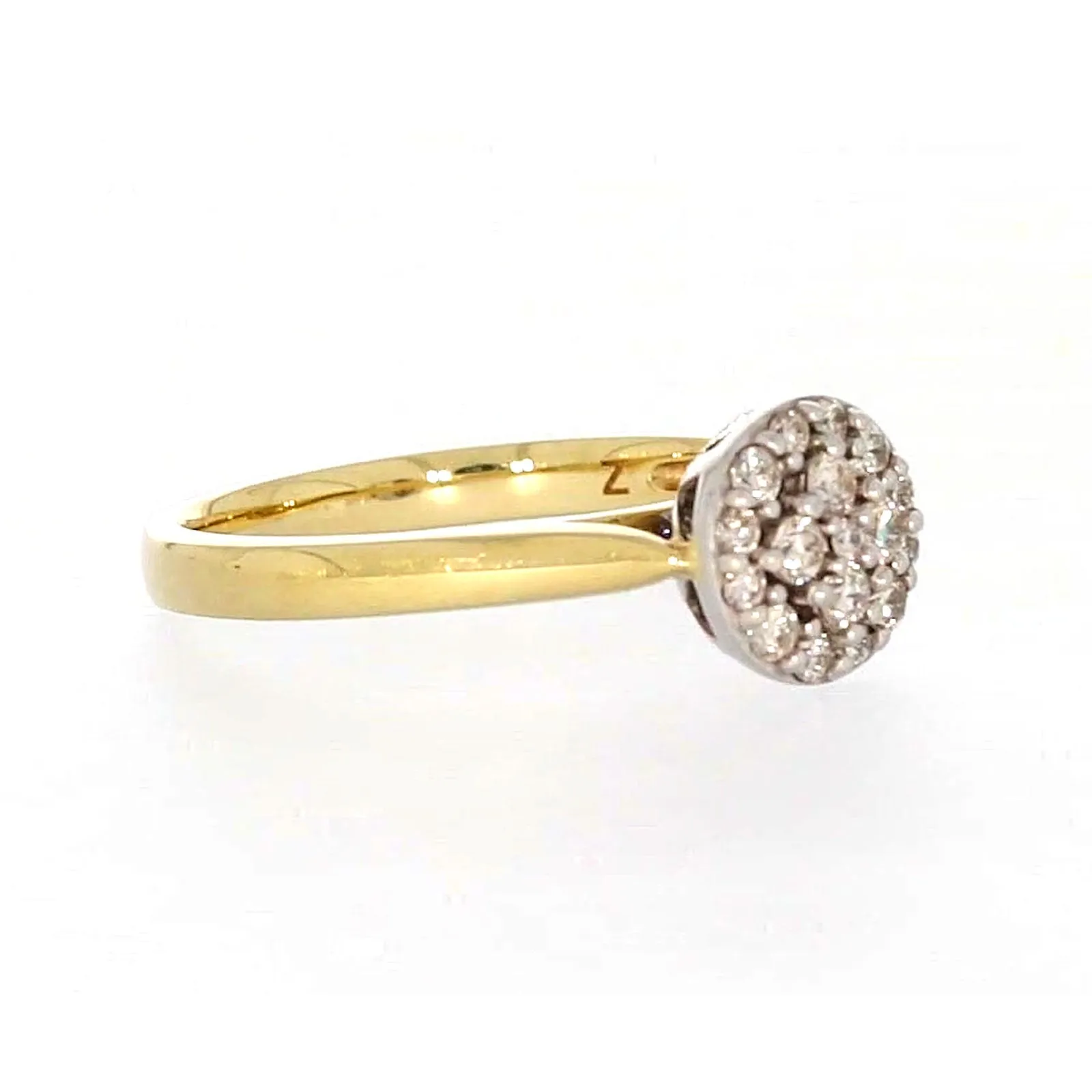 9ct Yellow Gold Round Brilliant Cut with 1/4 CARAT tw of Diamonds Ring