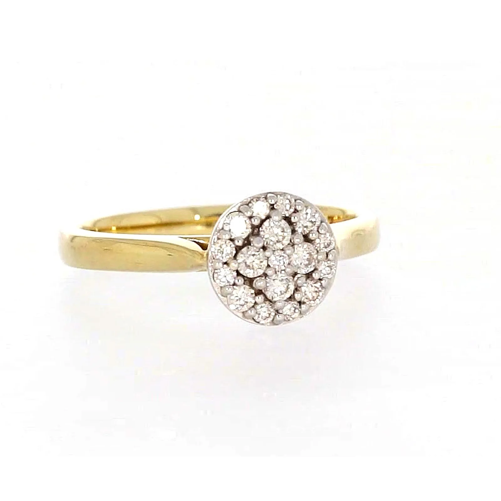 9ct Yellow Gold Round Brilliant Cut with 1/4 CARAT tw of Diamonds Ring