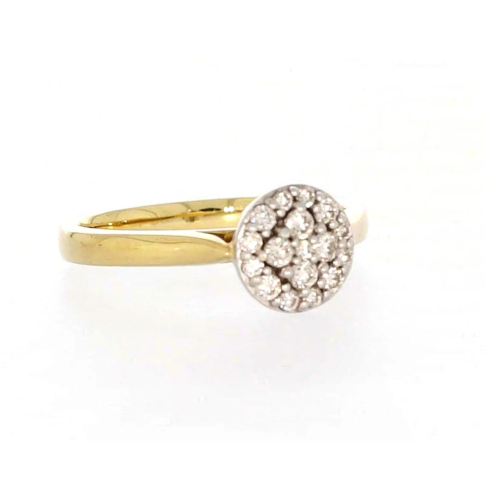 9ct Yellow Gold Round Brilliant Cut with 1/4 CARAT tw of Diamonds Ring