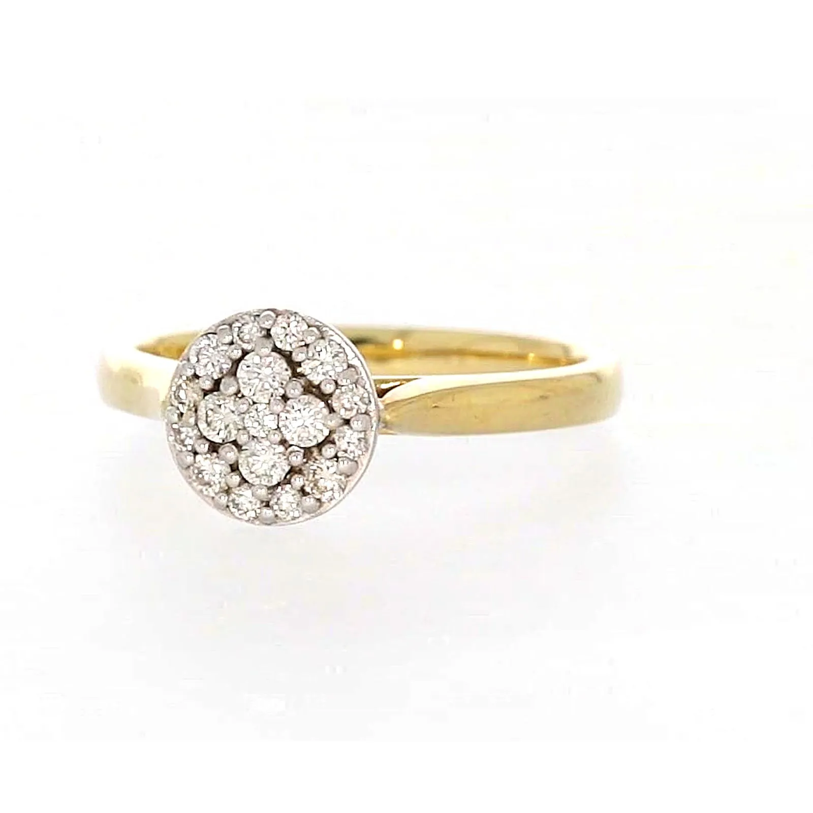 9ct Yellow Gold Round Brilliant Cut with 1/4 CARAT tw of Diamonds Ring