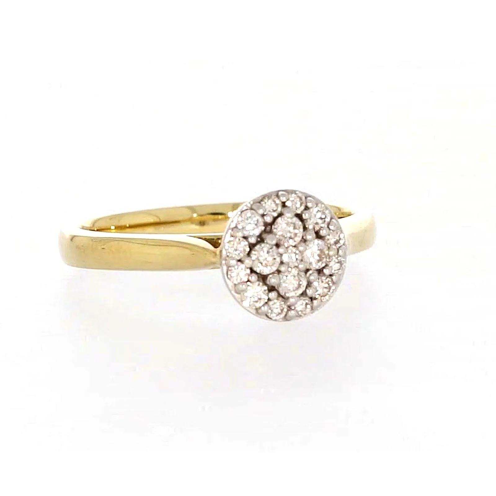 9ct Yellow Gold Round Brilliant Cut with 1/4 CARAT tw of Diamonds Ring