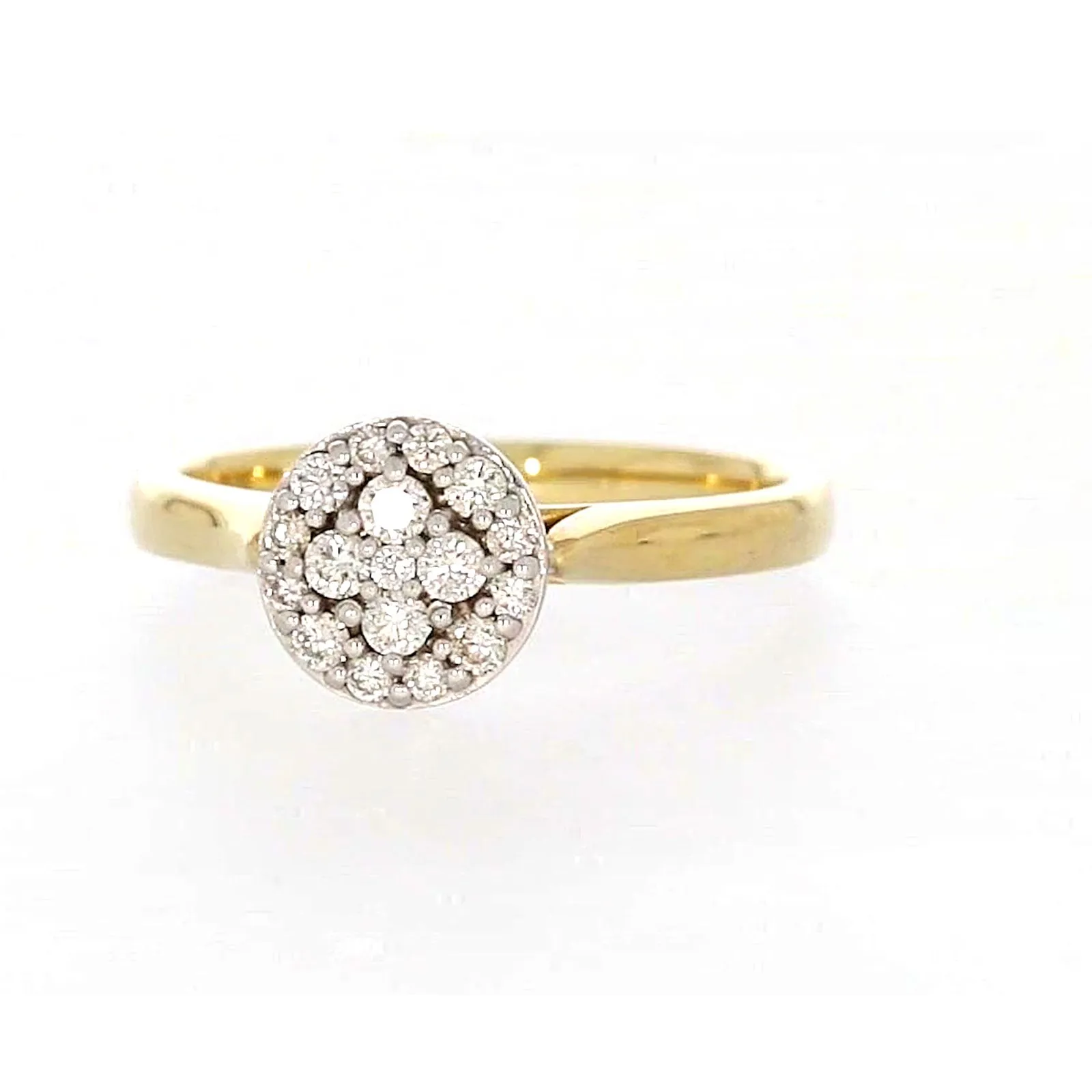 9ct Yellow Gold Round Brilliant Cut with 1/4 CARAT tw of Diamonds Ring