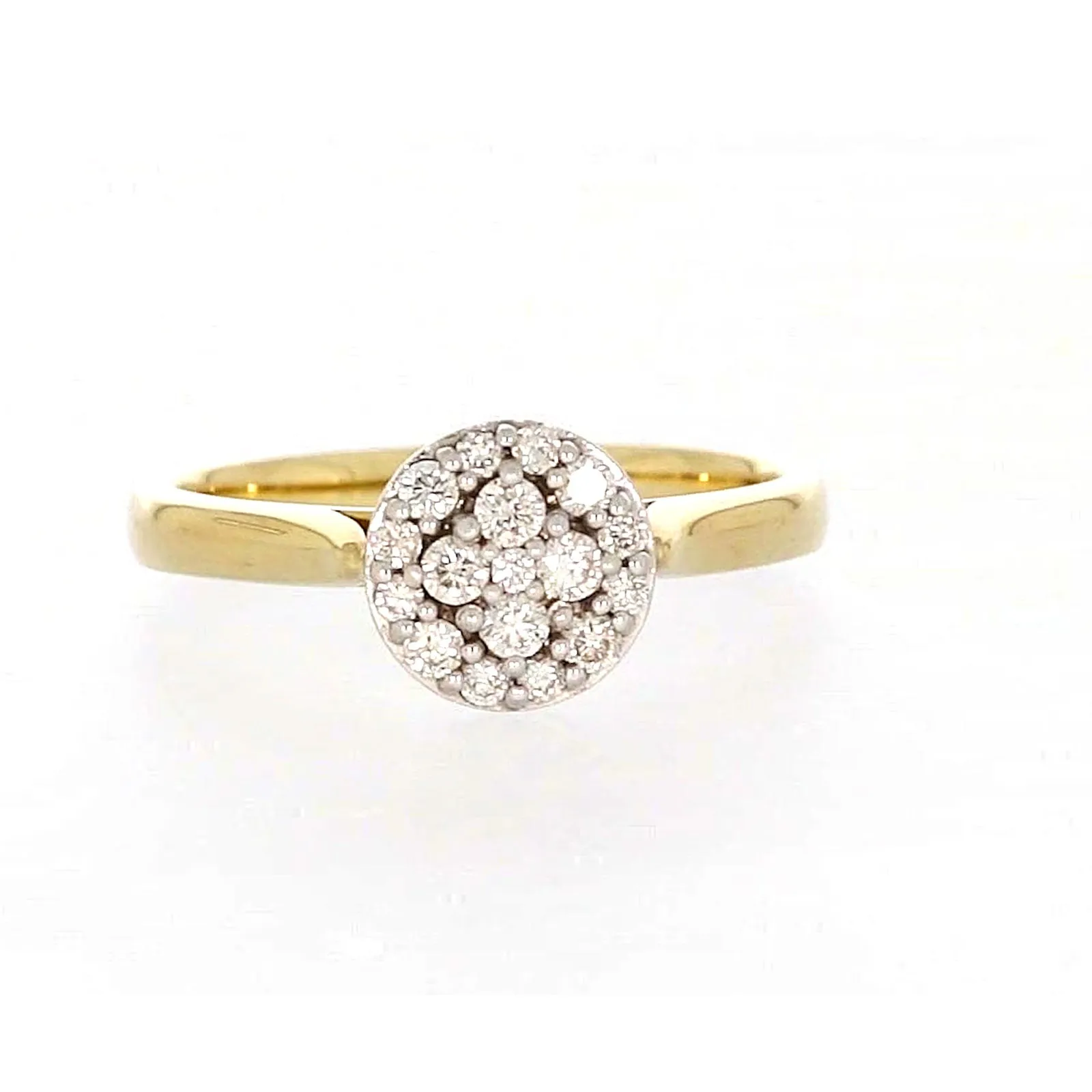 9ct Yellow Gold Round Brilliant Cut with 1/4 CARAT tw of Diamonds Ring