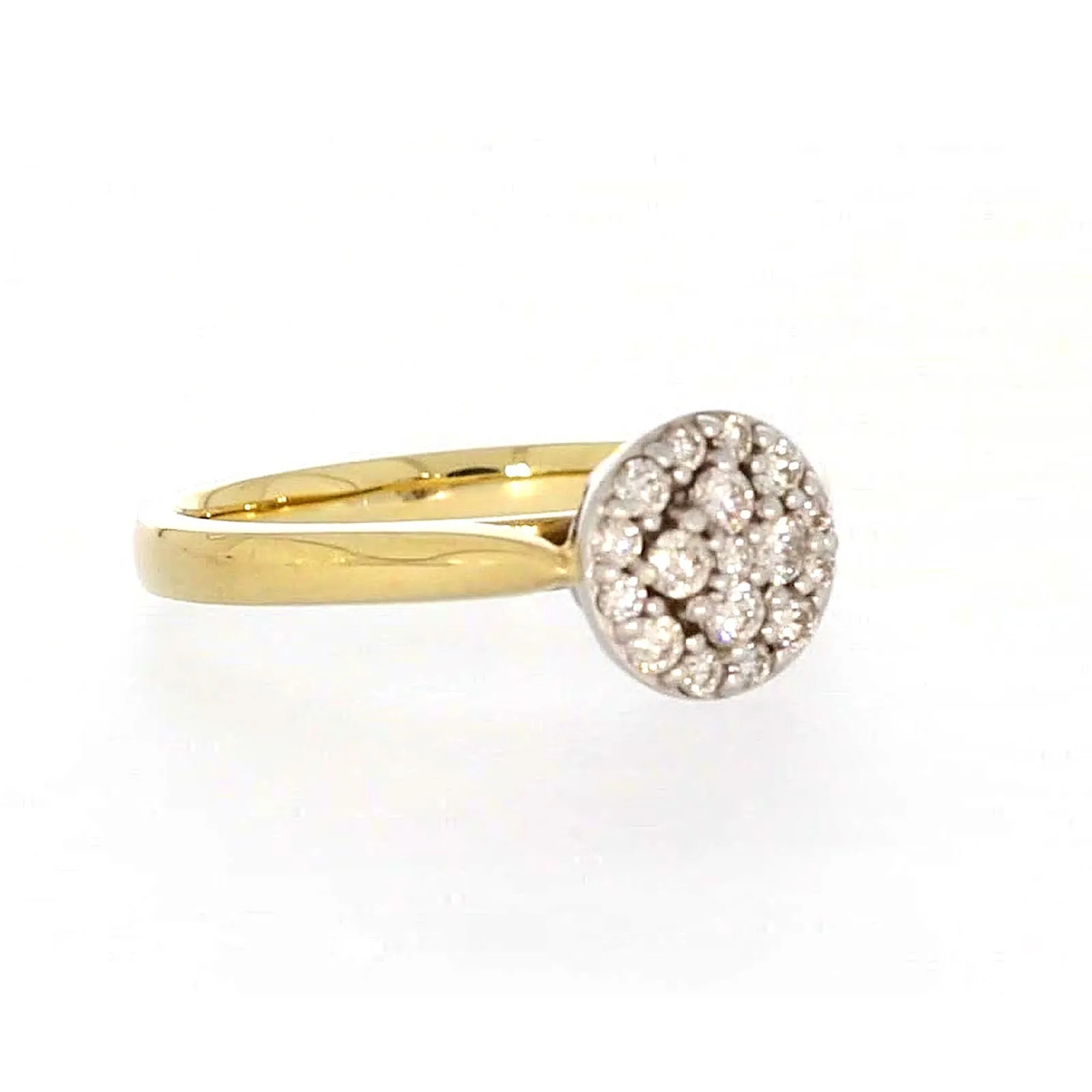 9ct Yellow Gold Round Brilliant Cut with 1/4 CARAT tw of Diamonds Ring