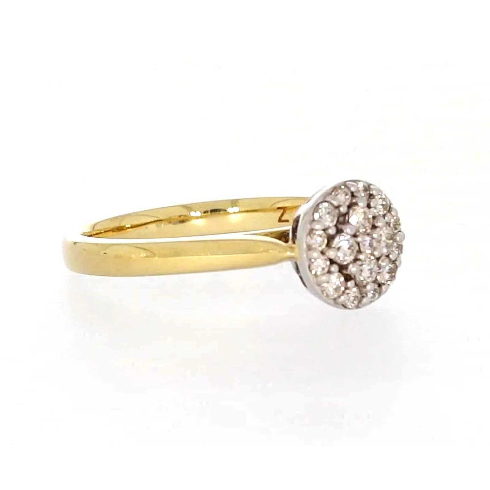 9ct Yellow Gold Round Brilliant Cut with 1/4 CARAT tw of Diamonds Ring