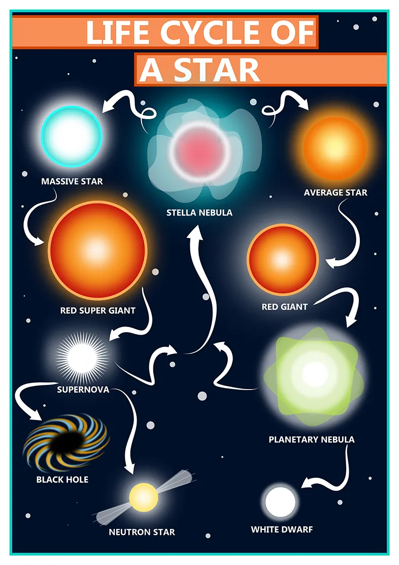 GCSE Science Life Cycle of a Star Educational A2 Poster