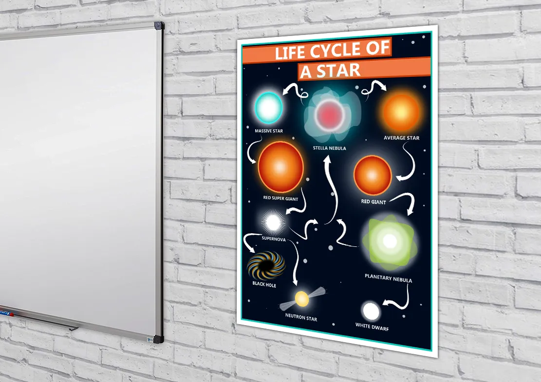 GCSE Science Life Cycle of a Star Educational A2 Poster