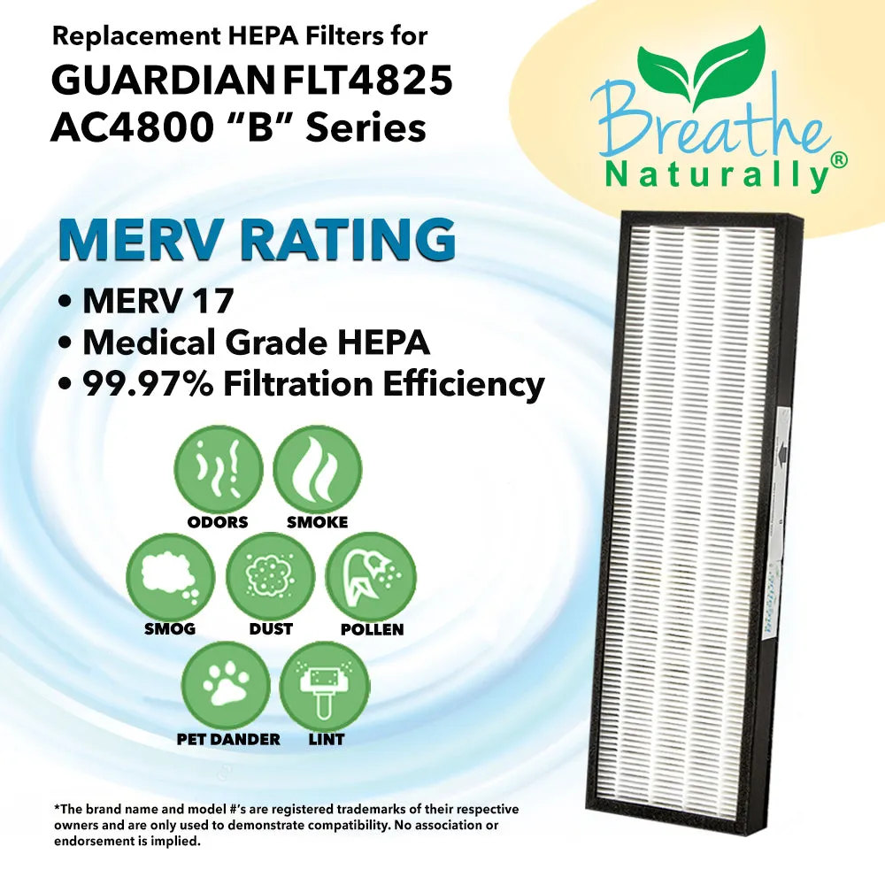 GermGuardian FLT4825 Filter B Replacement HEPA   Carbon Pre-Filter Bundle