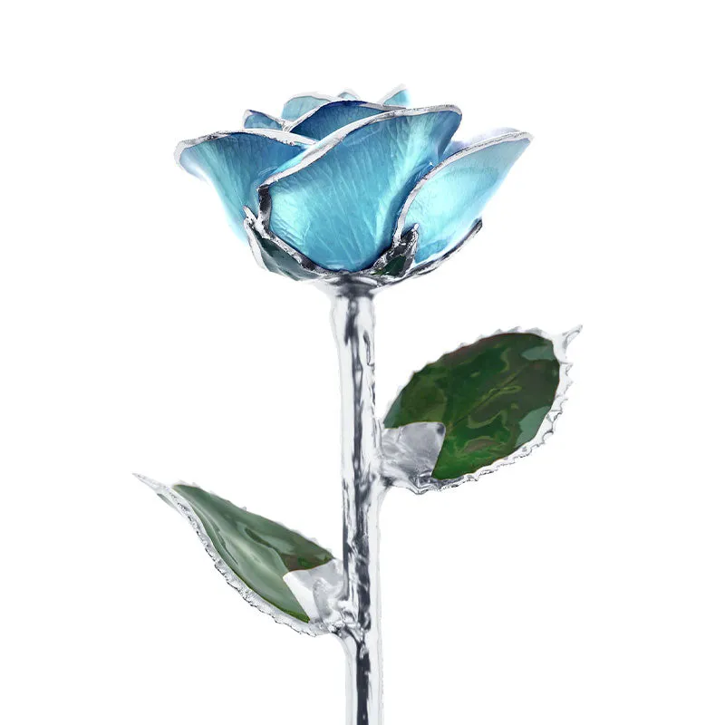 Platinum Baby Blue Rose