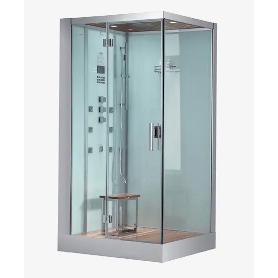 Platinum DZ960F8 1 Person Walk-In Steam Shower