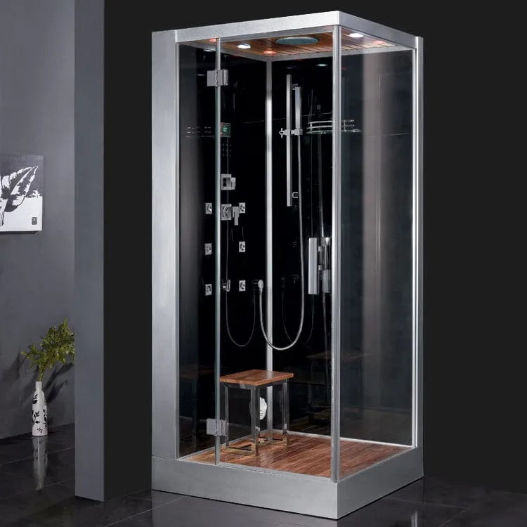 Platinum DZ960F8 1 Person Walk-In Steam Shower