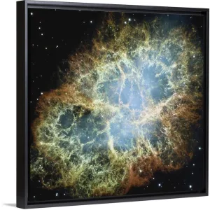 "Crab Nebula (exploding star)" Black Float Frame Canvas Art