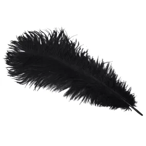 Real Black Dyed Long Ostrich Wing Feather Plume